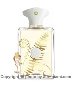 عطر ادکلن آمواج براکن مردانه-Amouage Bracken Man Perfume