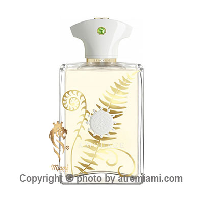 عطر ادکلن آمواج براکن مردانه-Amouage Bracken Man Perfume