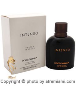 Dolce Gabbana Pour Homme Intenso