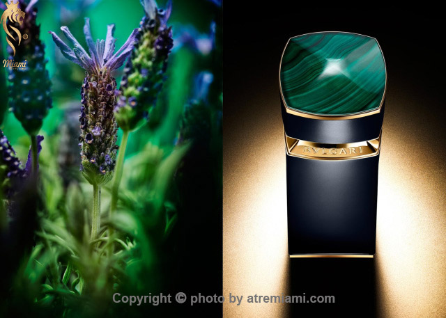 بهترین Bvlgari Malakeos مردانه اصل میامی