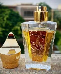 بهترین-Xerjoff-Dhajala-زنانه-اصل-میامی-Xerjoff-Dhajala