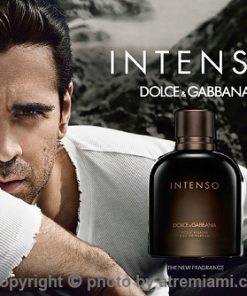 بهترین ادکلن دی اند جی پور هوم اینتنسو مردانه اصل میامی