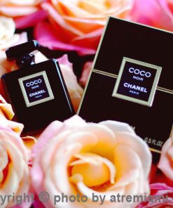 بهترین-ادکلن-شنل-کوکو-نویر- زنانه-اصل-میامی-Chanel-Coco-Noir