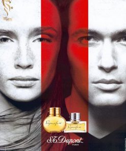 بهترین-اس-تی-دوپونت-سیگنیچر-زنانه-زنانه--اصل-میامی