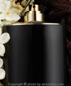 بهترین رالف لورن وومن بای رالف لورن اینتنس زنانه اصل میامی