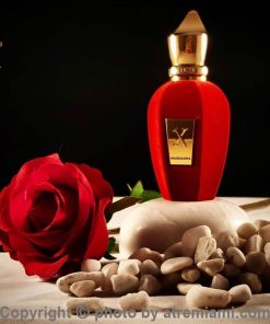 بهترین-زرژاف-وارداسینا-زنانه-و-مردانه-اصل-میامی-Xerjoff-Wardasina