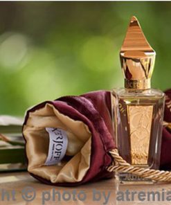 بهترین-زرژاف-یودن-مردانه-اصل-میامی-Xerjoff-Uden