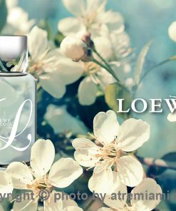 بهترین-لوئو-ال-کول-زنانه-اصل-میامی-Loewe-L-Cool
