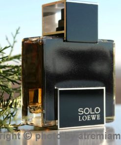 بهترین-لوئو-سولو-لوئوه-پلاتینیوم-مردانه-اصل-میامی-Loewe-Solo-Loewe-Platinum