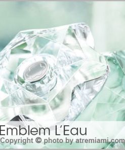 بهترین-مون-بلان-لیدی-امبلم-زنانه--اصل-میامی