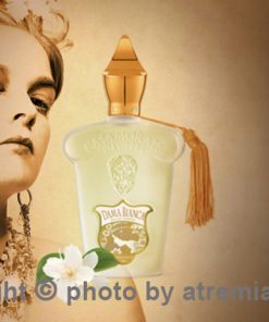 بهترین-کازاموراتی-زرژاف-داما-بیانکا-زنانه-اصل-میامی-Xerjoff-Casamorati-Dama-Bianca