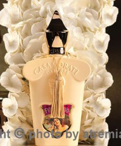 بهترین-کازاموراتی-زرژاف-فیوره-د-الیوو-زنانه-اصل-میامی-Xerjoff-Casamorati-Fiore-d`Ulivo