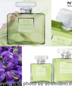 تستر-Chanel-No-19-Poudre-زنانه-اصل-میامی-Chanel-No-19-Poudre