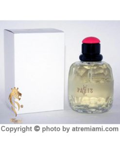 تستر Yves Saint Laurent Paris مردانه اصل میامی