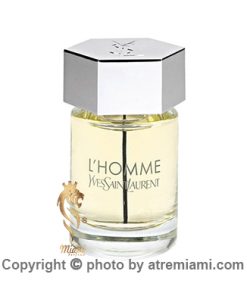 خرید ادکلن ایو سن لورن لهوم مردانه اصل میامی