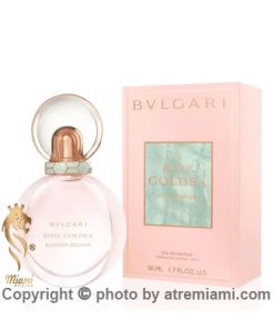 خرید ادکلن بولگاری رز گلدیا بلوسوم دیلایت زنانه اصل میامی