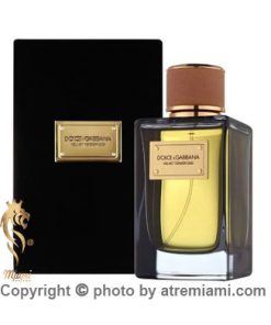 قیمت-عطر-دلچه-گابانا-ولوت-تندر-عود-زنانه-مردانه--اصل-میامی