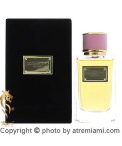 خرید-ادکلن-دلچه-گابانا-ولوت-لاو-زنانه--اصل-میامی