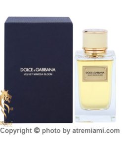 خرید-ادکلن-دلچه-گابانا-ولوت-میموسا-بلوم-زنانه--اصل-میامی