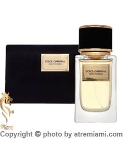 خرید-ادکلن-دلچه-گابانا-ولوت-وود-زنانه-مردانه--اصل-میامی
