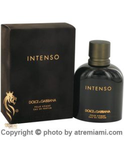 خرید ادکلن دلچه گابانا پور هوم اینتنسو مردانه اصل میامی
