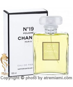 خرید-ادکلن-شنل-نامبر-۱۹-پودر-زنانه-اصل-میامی-Chanel-No-19-Poudre