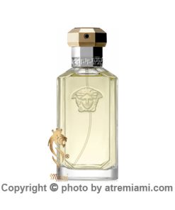 خرید-ادکلن-ورساچه-دریمر-مردانه-اصل-میامی