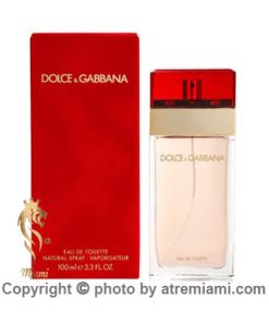 خرید-دلچه-گابانا-زنانه-زنانه--اصل-میامی