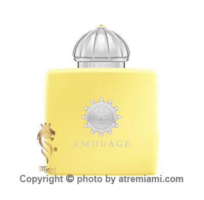 قیمت-عطر-آمواج-لاو-میموسا-زنانه--اصل-میامی