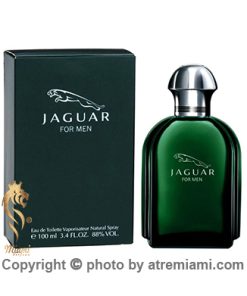 قیمت عطر جگوار مردانه-سبز مردانه اصل میامی