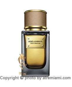 قیمت-عطر-دلچه-گابانا-ولوت-تندر-عود-زنانه-مردانه--اصل-میامی