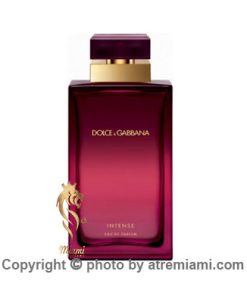 قیمت-عطر-دلچه-گابانا-پورفم-اینتنس-زنانه--اصل-میامی
