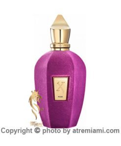 قیمت-و-خرید-عطر-زرجف-موس-زنانه-و-مردانه-اصل-میامی-Xerjoff-Muse