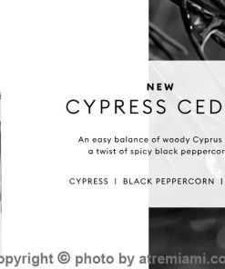 بهترین-Banana-Republic-Cypress-Cedar-زنانه-و-مردانه-اصل-میامی