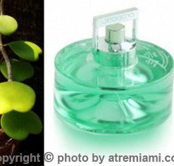 بهترین-ادکلن-جاکومو-پارادوکس-گرین-مردانه-مردانه--اصل-میامی