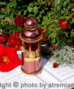 بهترین-الکساندر-جی-مورنینگ-ماسک-زنانه-و-مردانه-اصل-میامی