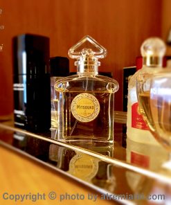 بهترین-گرلن-میتسوکو-ادو-پرفیوم-زنانه--اصل-میامی