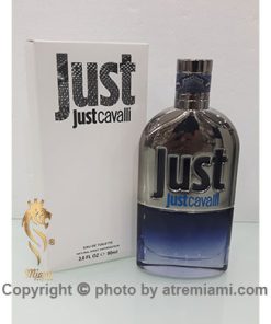 تستر-Roberto-Cavalli-Just-Cavalli-Him-مردانه-اصل-میامی