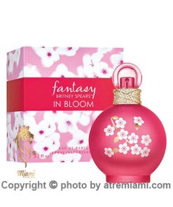 خرید-ادکلن-بریتنی-اسپیرز-فانتزی-این-بلوم-زنانه-اصل-میامی