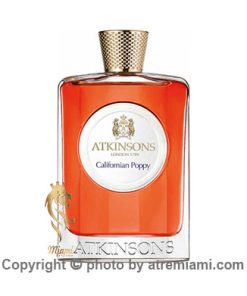 قیمت-اتکینسون-کالیفورنیا-پاپی-جدید-زنانه-اصل-میامی