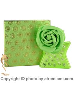 قیمت-عطر-بوند-شماره-۹-هادسون-یاردس-زنانهاصل-میامی