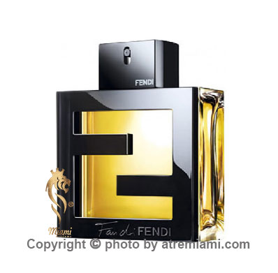 قیمت-عطر-فَن-دی-فندی-پور-هوم-مردانه--اصل-میامی