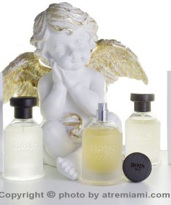 بهترین-بویس-۱۹۲۰-مجیا-مردانه-و-زنانه-اصل-میامی