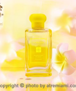 بهترین-جو-مالون-فرانجیپانی-فلاور-کلون-زنانه-و-مردانه-اصل-میامی