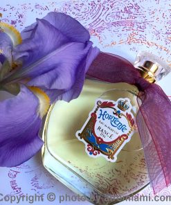 بهترین-رنس-هورتنس-زنانه-اصل-میامی