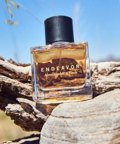 بهترین-آمبرکرامبی-اند-فیچ-اند-ور-مردانه-اصل-میامی